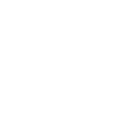 the arepa place